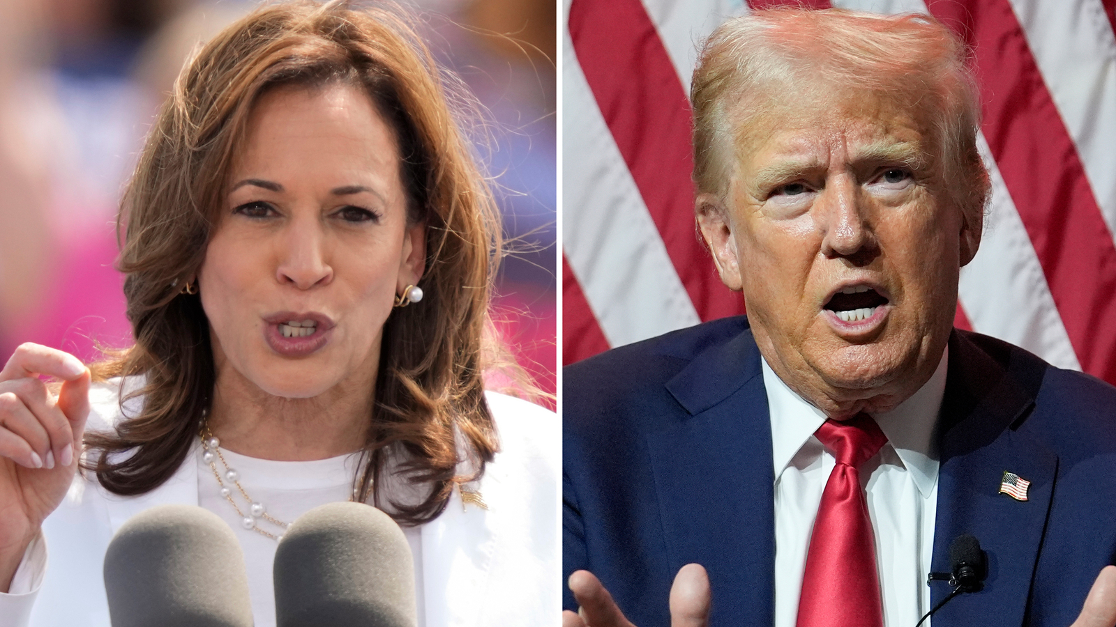 What would a Kamala Harris or Donald Trump victory mean for the stock market? [Video]