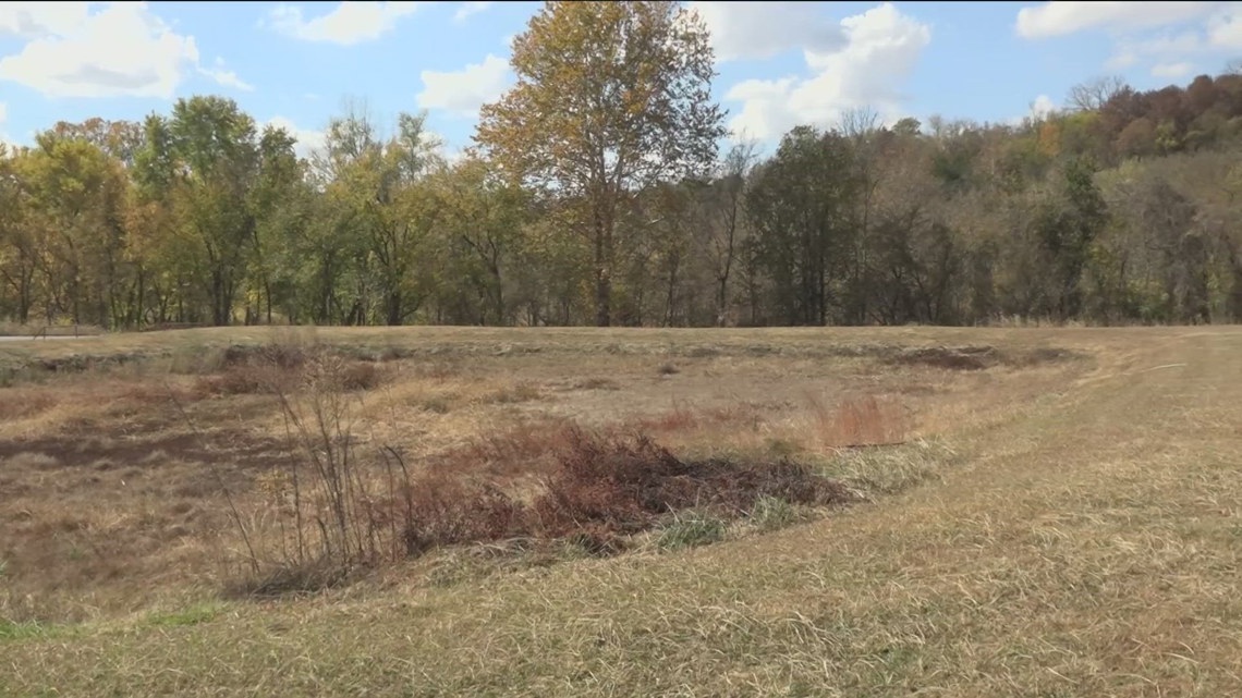 Small businesses in Arkansas eligible for loans amid drought [Video]