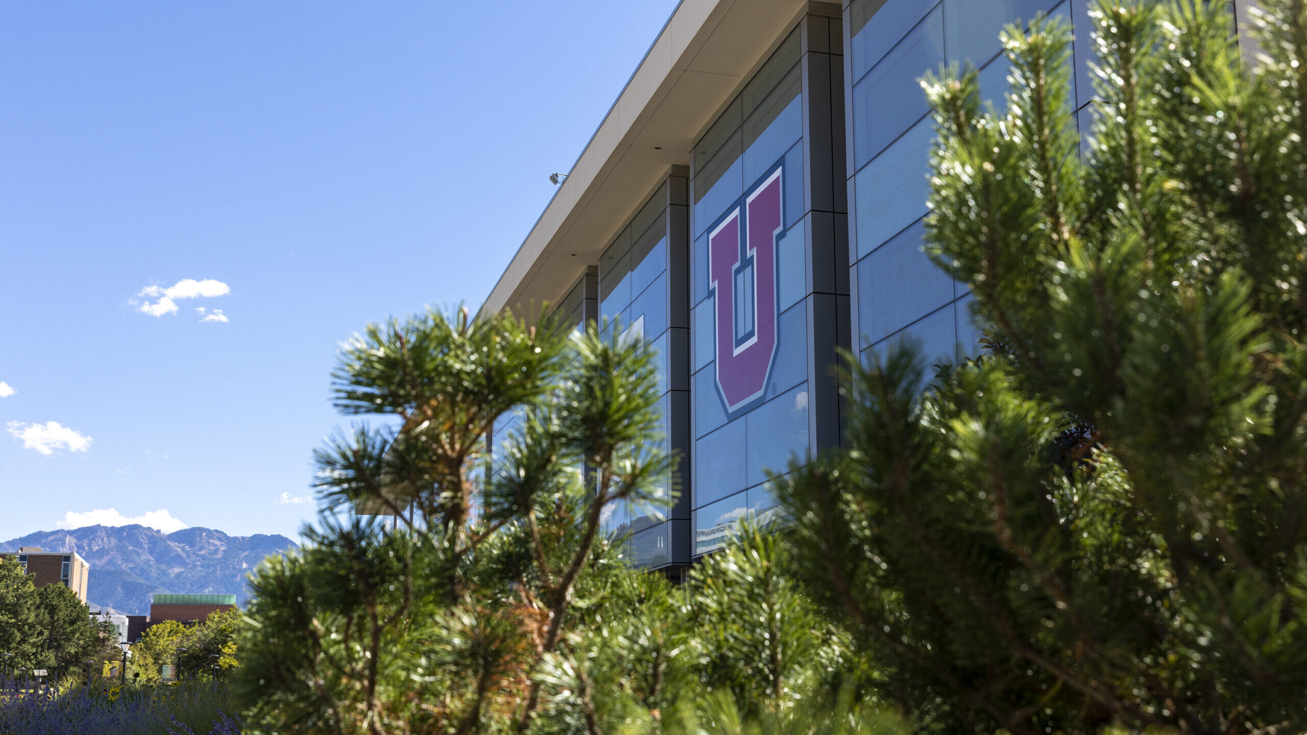 New University of Utah lab combines engineering and medicine [Video]