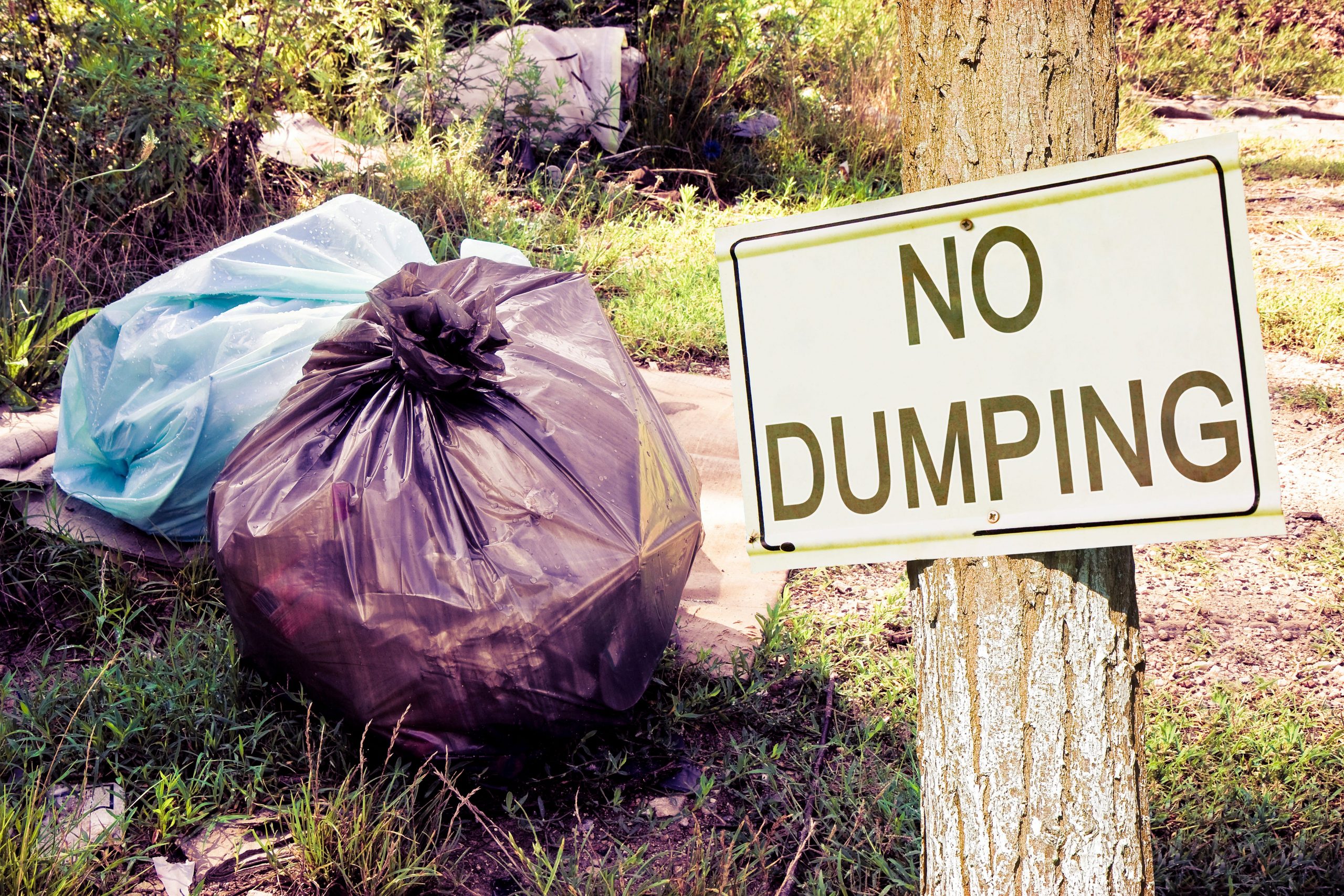 L.A. City Council looks to fund probes of unlawful dumping [Video]