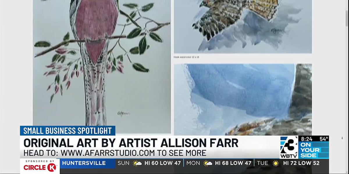 Small Business Spotlight: Artist Allison Farr shares her original art [Video]