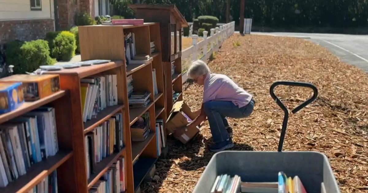 California woman takes little free libraries to another level [Video]