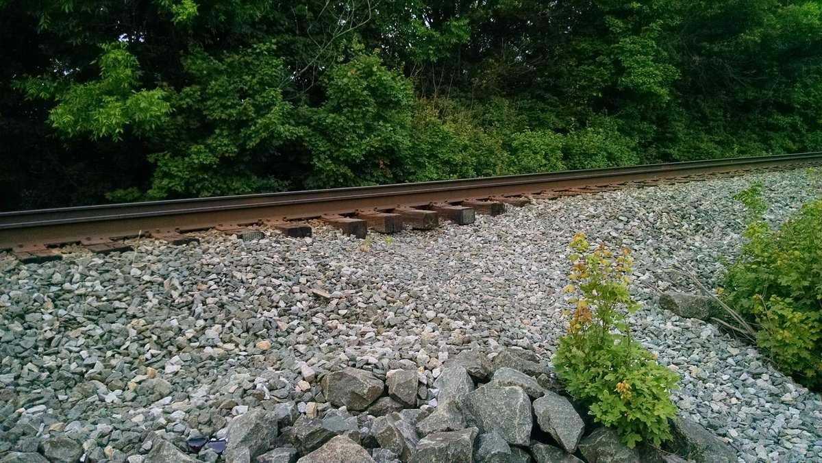 NC Woman and children possibly jumped into river to avoid train [Video]