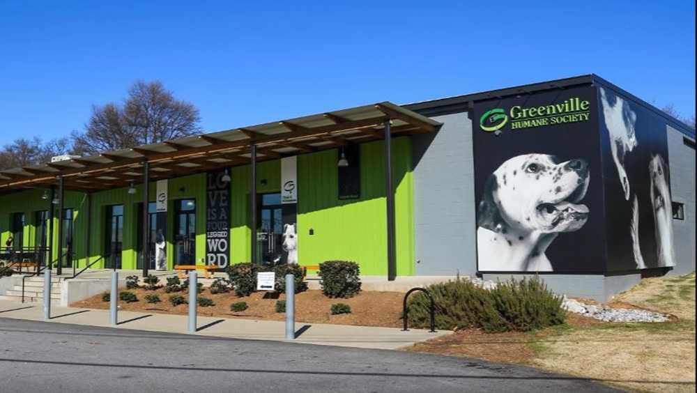 Greenville Humane Society expansion plans [Video]