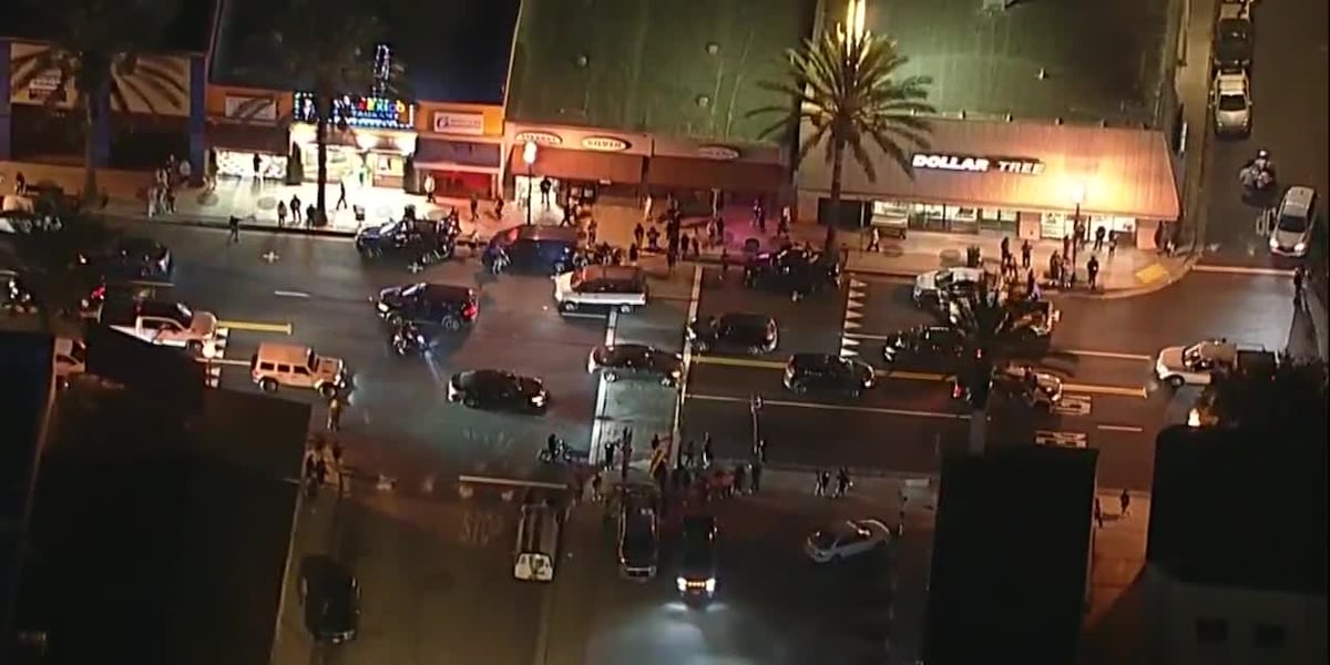 Fans celebrate Dodgers winning World Series [Video]