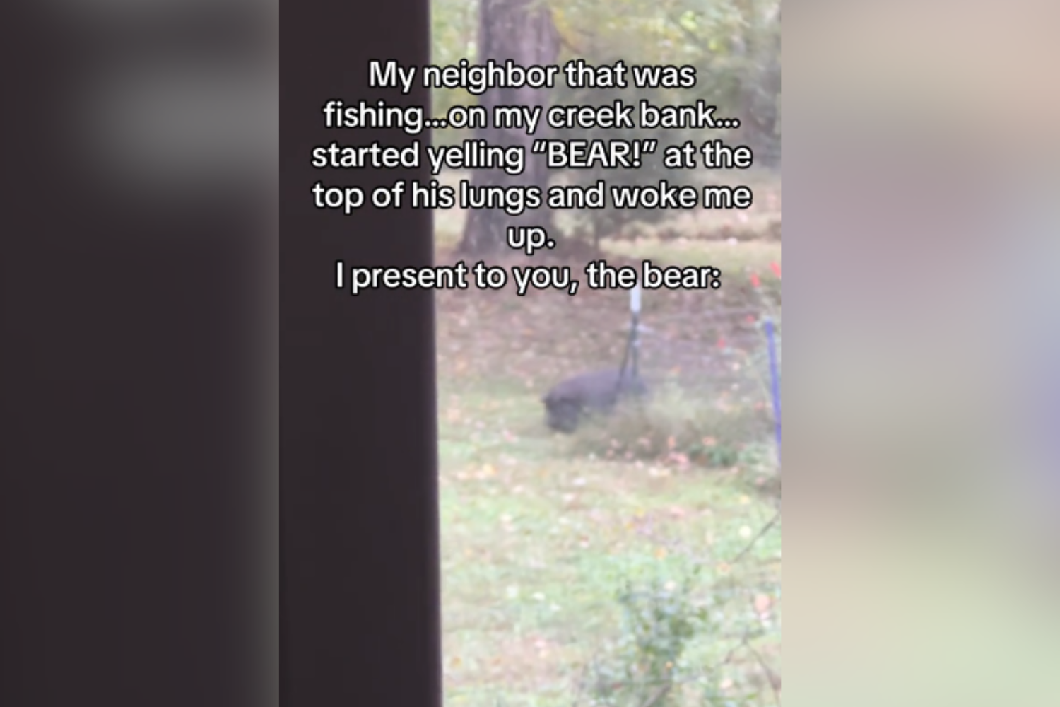 Woman Woken by Neighbor Yelling ‘Bear,’ Then She Looks out the Window [Video]