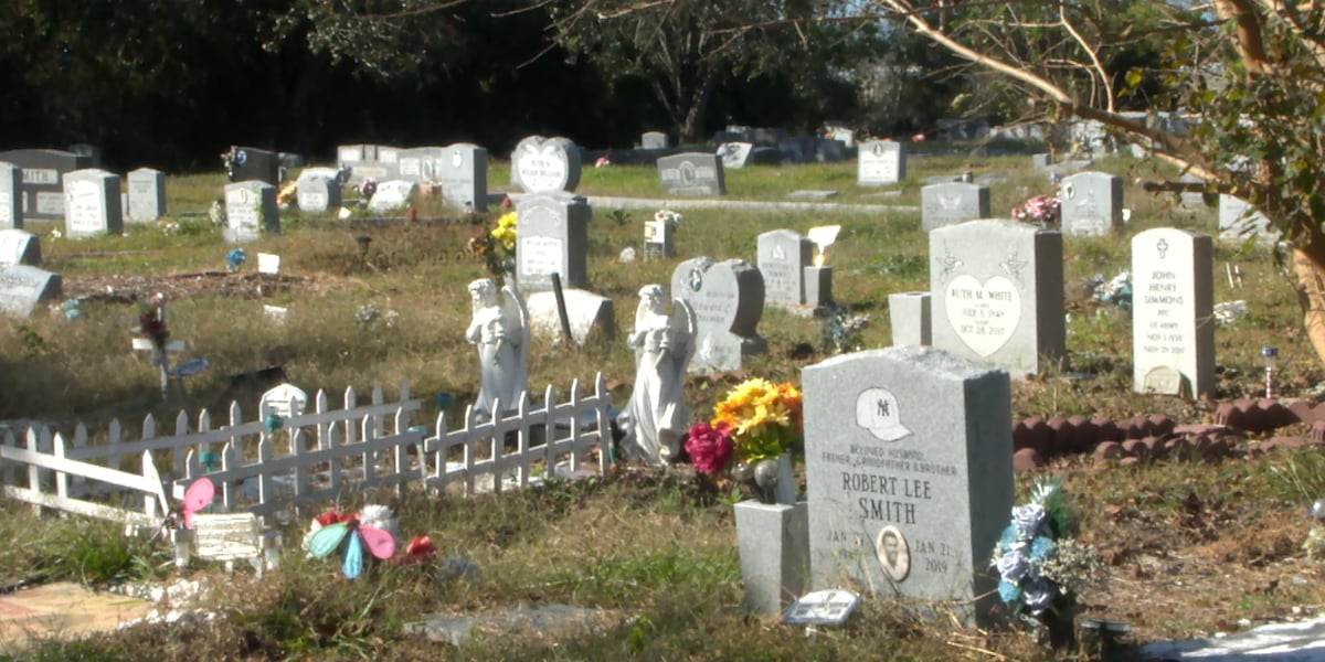 Historic Charleston cemetery with long term problems to see cleanup plan [Video]