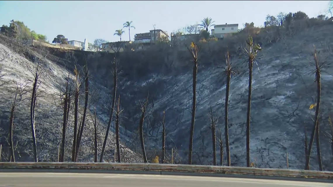 Fire near Talmadge possibly started in encampment [Video]