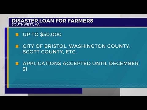 Gov. Youngkin announces disaster loan for farmers, small agricultural businesses [Video]