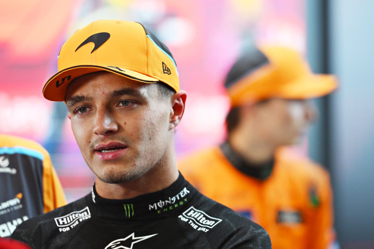 F1 news LIVE: Brazilian Grand Prix reaction and standings as Lando Norris discovers potential penalty [Video]