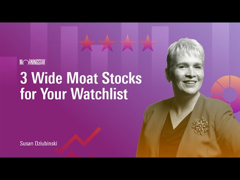 3 Wide Moat Stocks for Your Watchlist [Video]