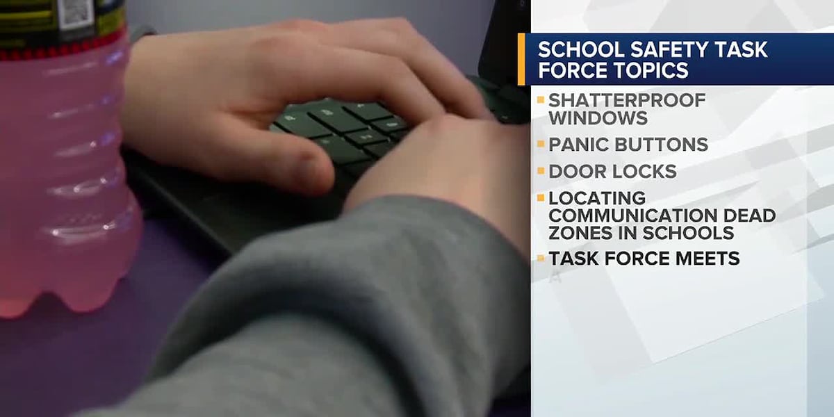 School Safety Task Force working to make safety recommendations for Iowa lawmakers [Video]