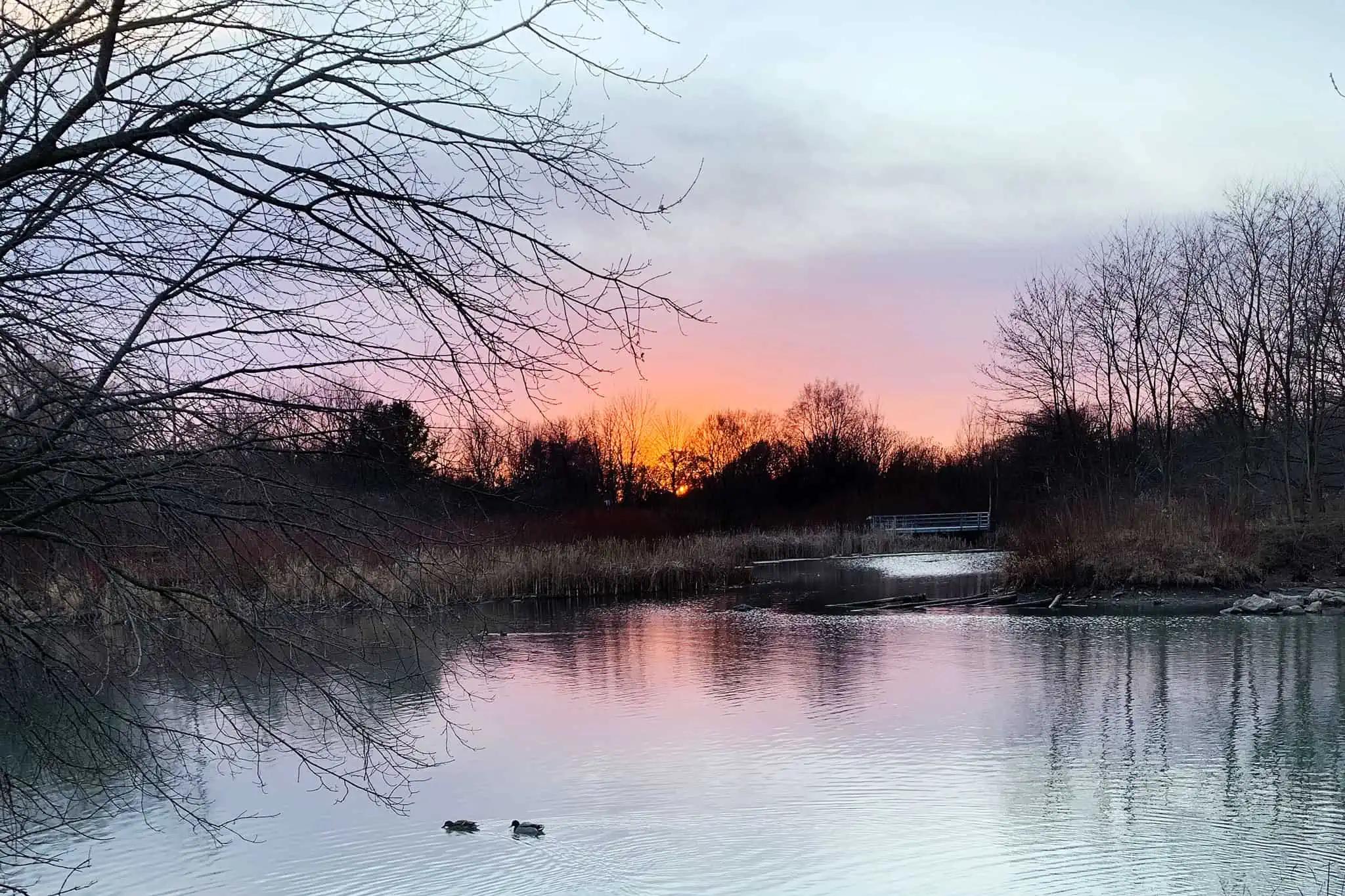 Nov. 9 weather: Sunny skies to start the weekend with rain on the way in southern Ontario [Video]