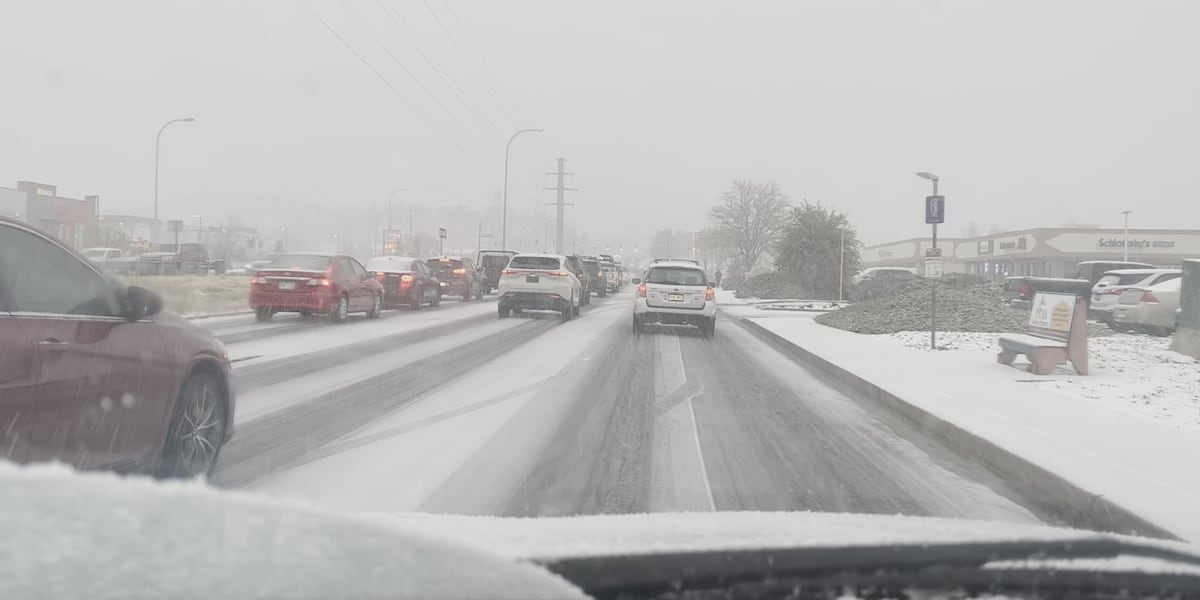 Snow not likely to stop Veterans Day parade as Colorado Springs officials work extra hard to keep roads clear [Video]