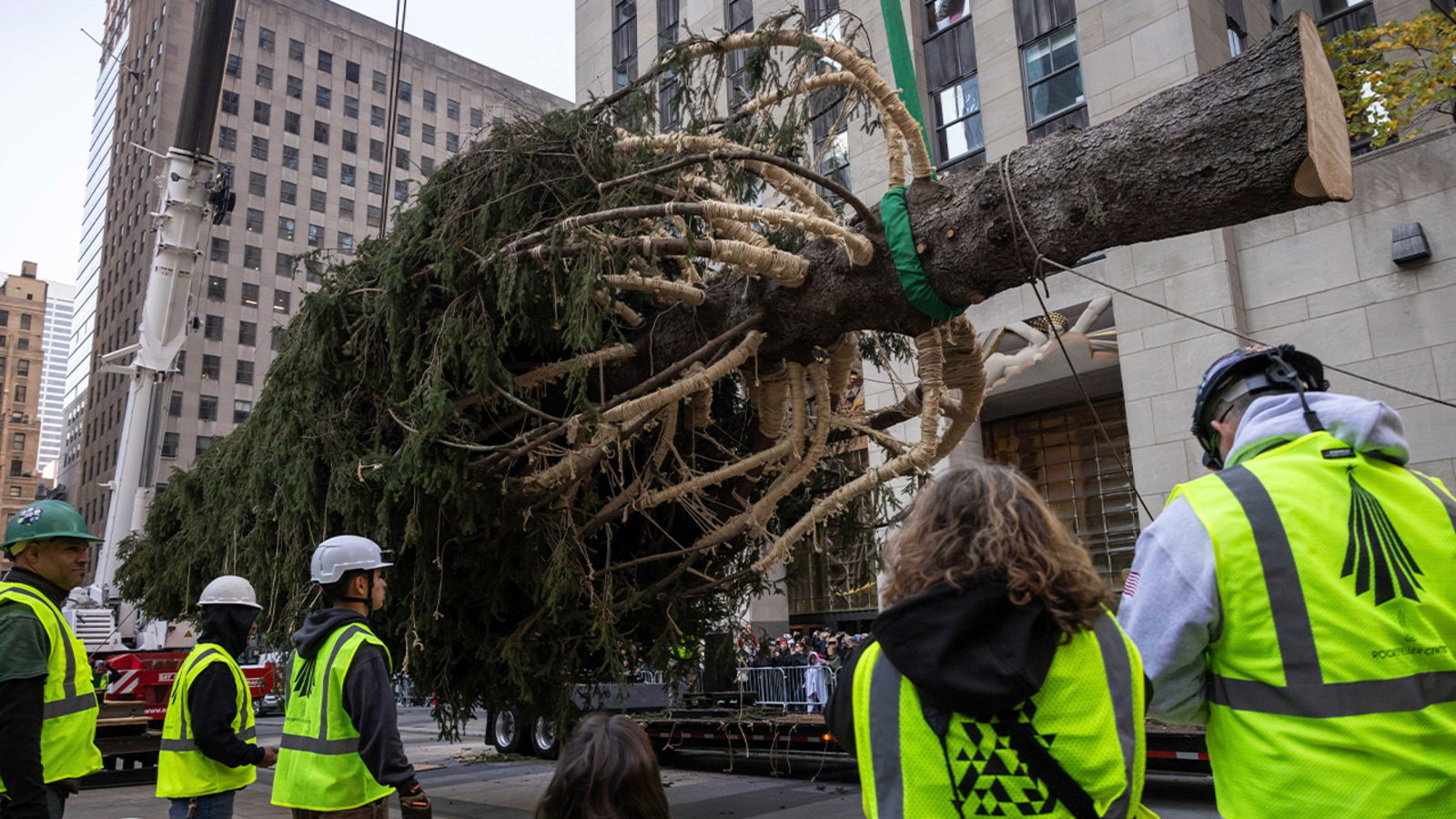 Rockefeller Center Christmas Tree arrives in New York City, signaling start of holiday season [Video]