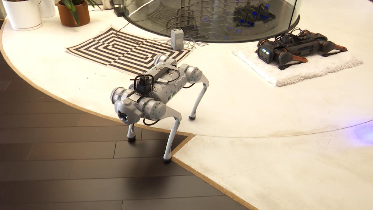 Meet the robot pets of this California home owner [Video]