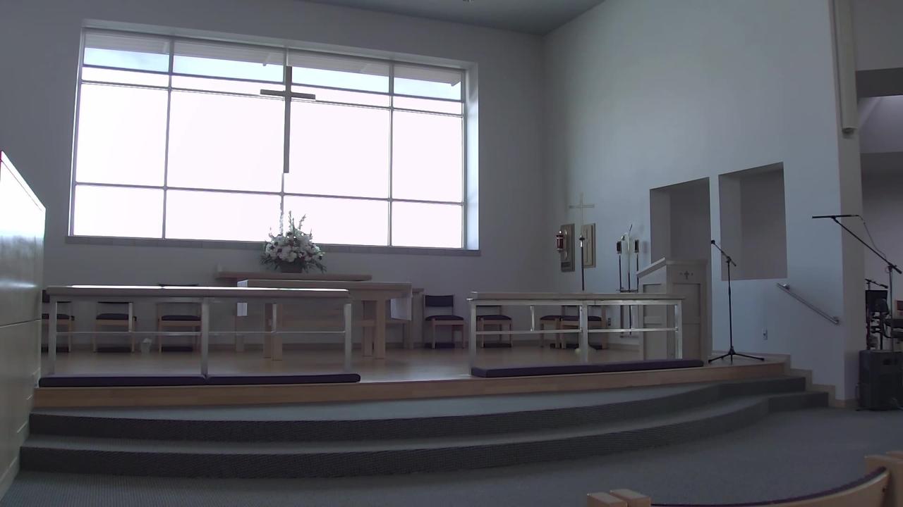 Confirmation and Reception 11/10/2024 – One News Page VIDEO