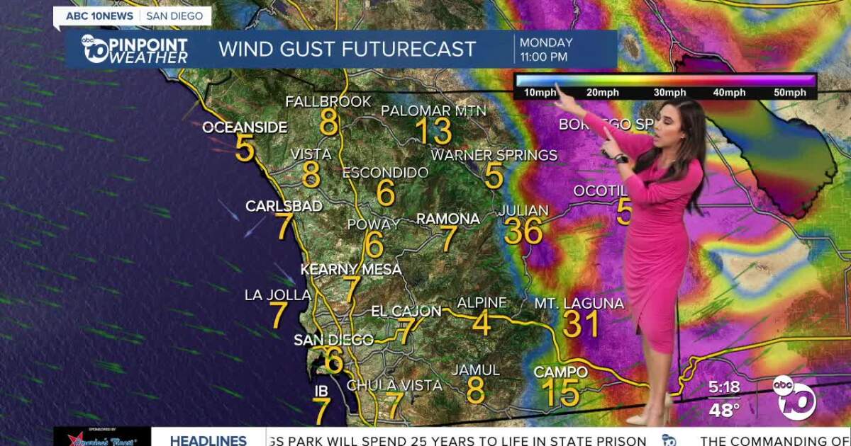 Gusty winds and patchy drizzle overnight into early Tuesday [Video]