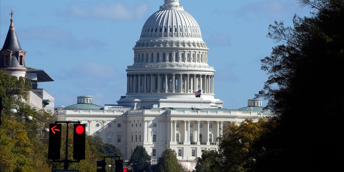 Congress returns to unfinished business and a new Trump era [Video]