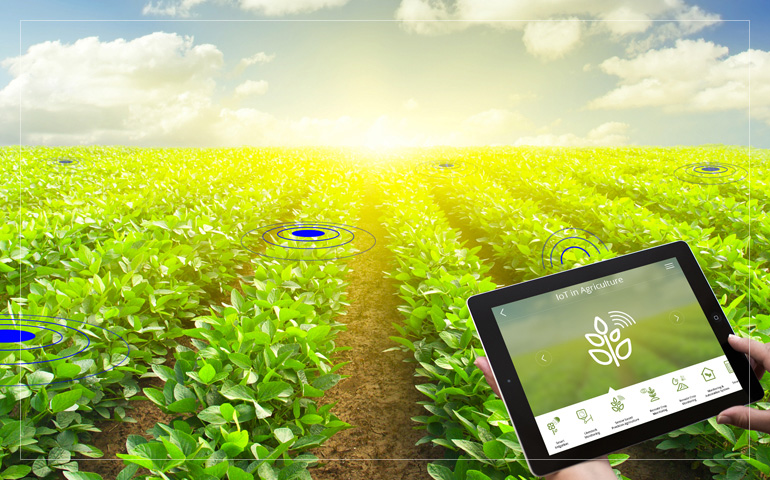 How to Build an ERP for Agriculture? [Video]