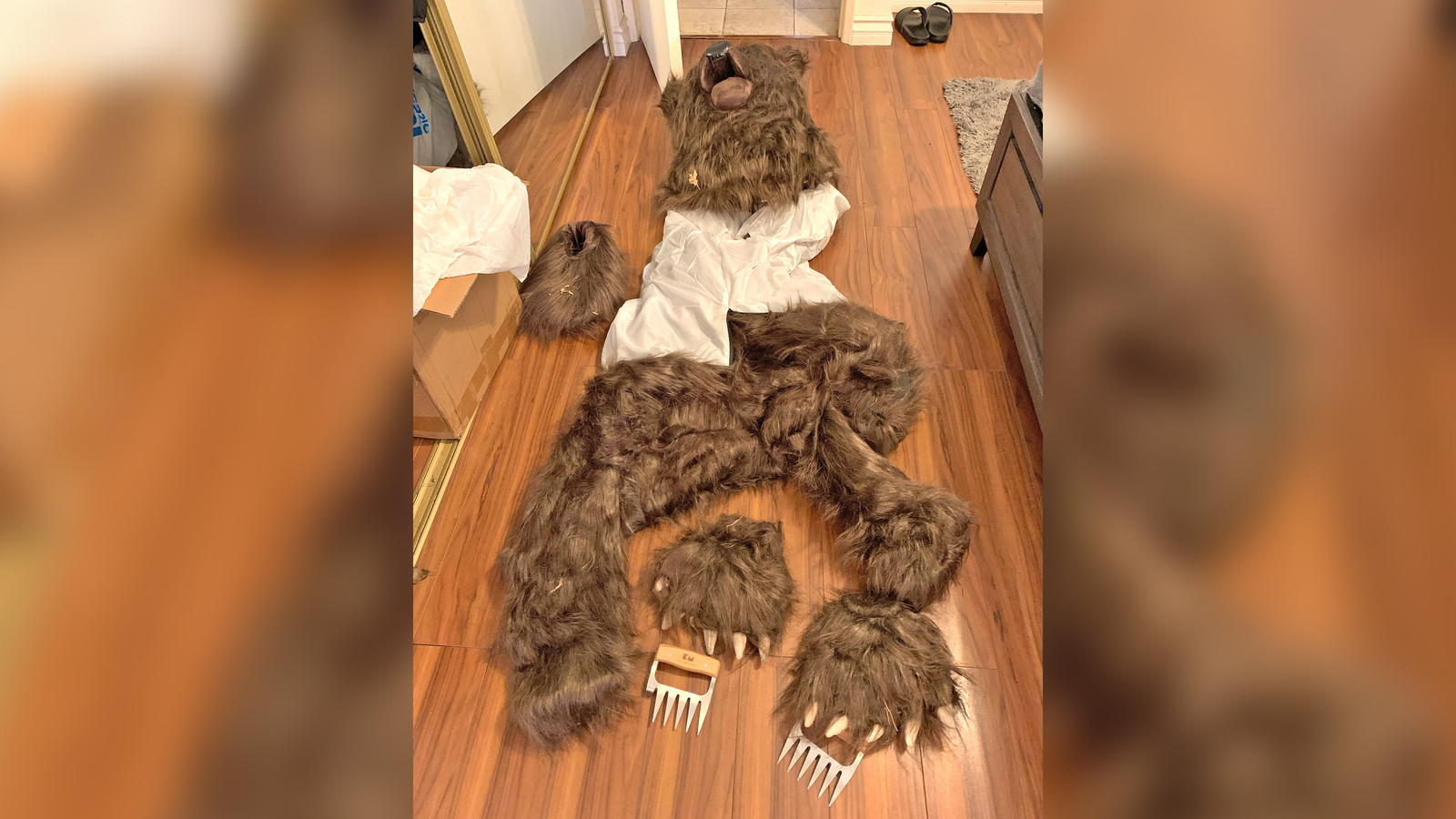 4 L.A. area residents accused of using bear suit to damage cars, defraud insurance companies, officials say [Video]