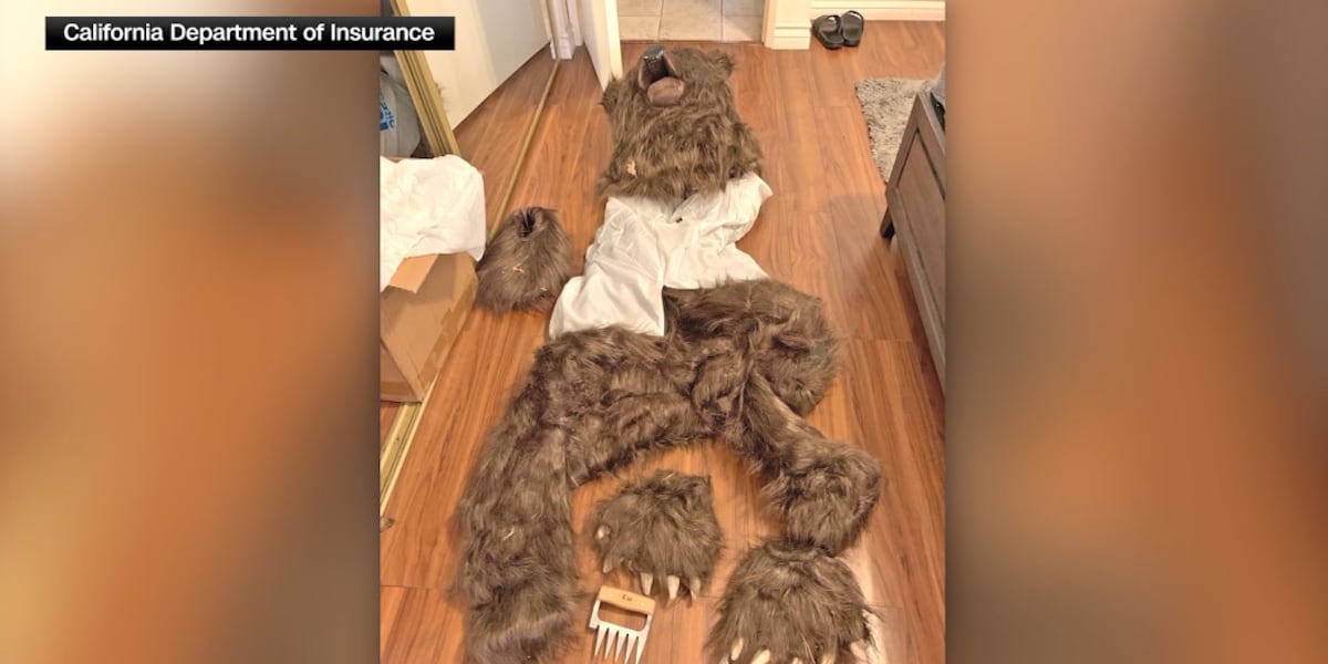 Suspects used bear costume to fake attacks on cars in insurance scam, officials say [Video]