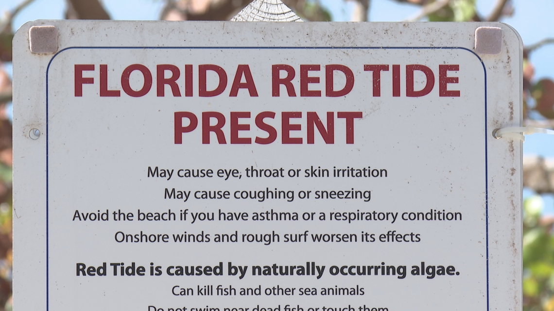 Red tide threatens businesses recovering from hurricanes [Video]