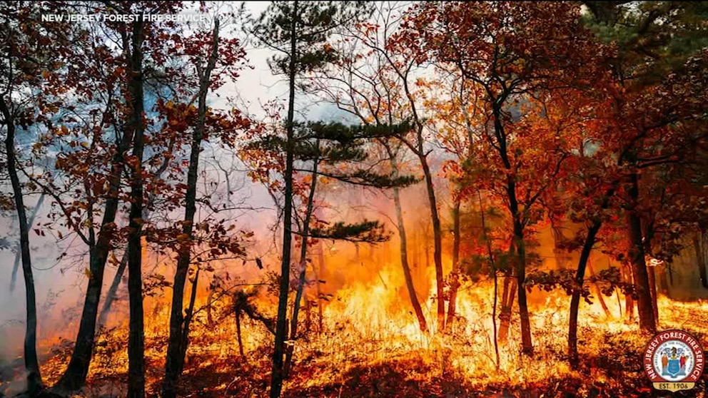 Video 14-year-old boy arrested for allegedly starting forest fire [Video]