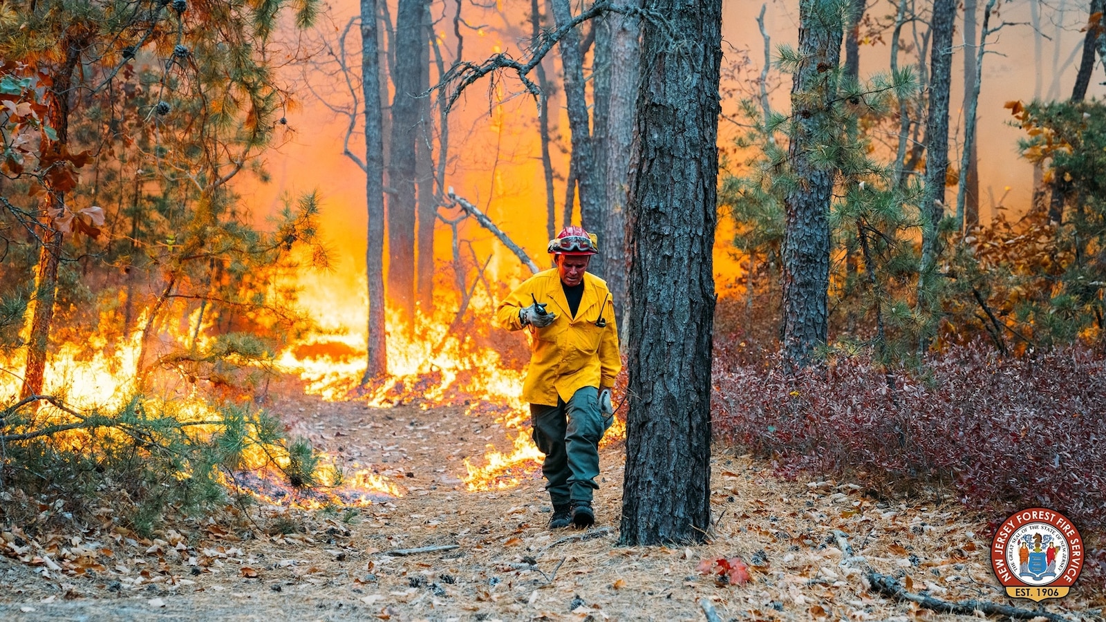 14-year-old boy arrested for allegedly starting New Jersey forest fire [Video]