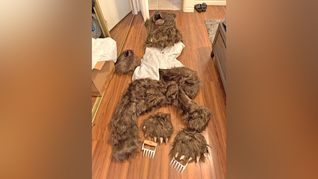 Person in bear costume damaged luxury cars, insurers say [Video]