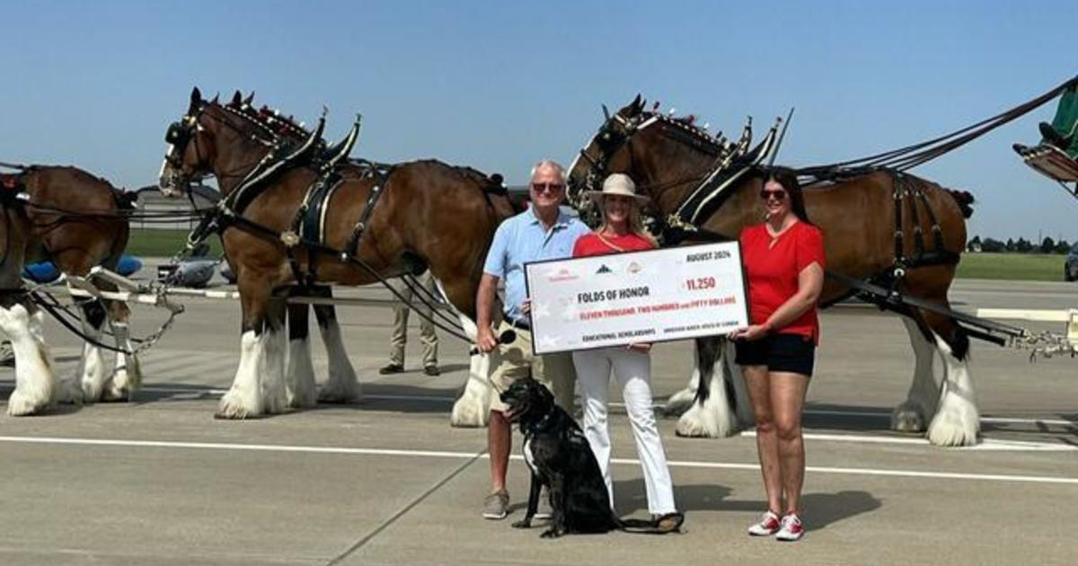 How Clydesdale horses support a non-profit for fallen soldiers, first responders [Video]