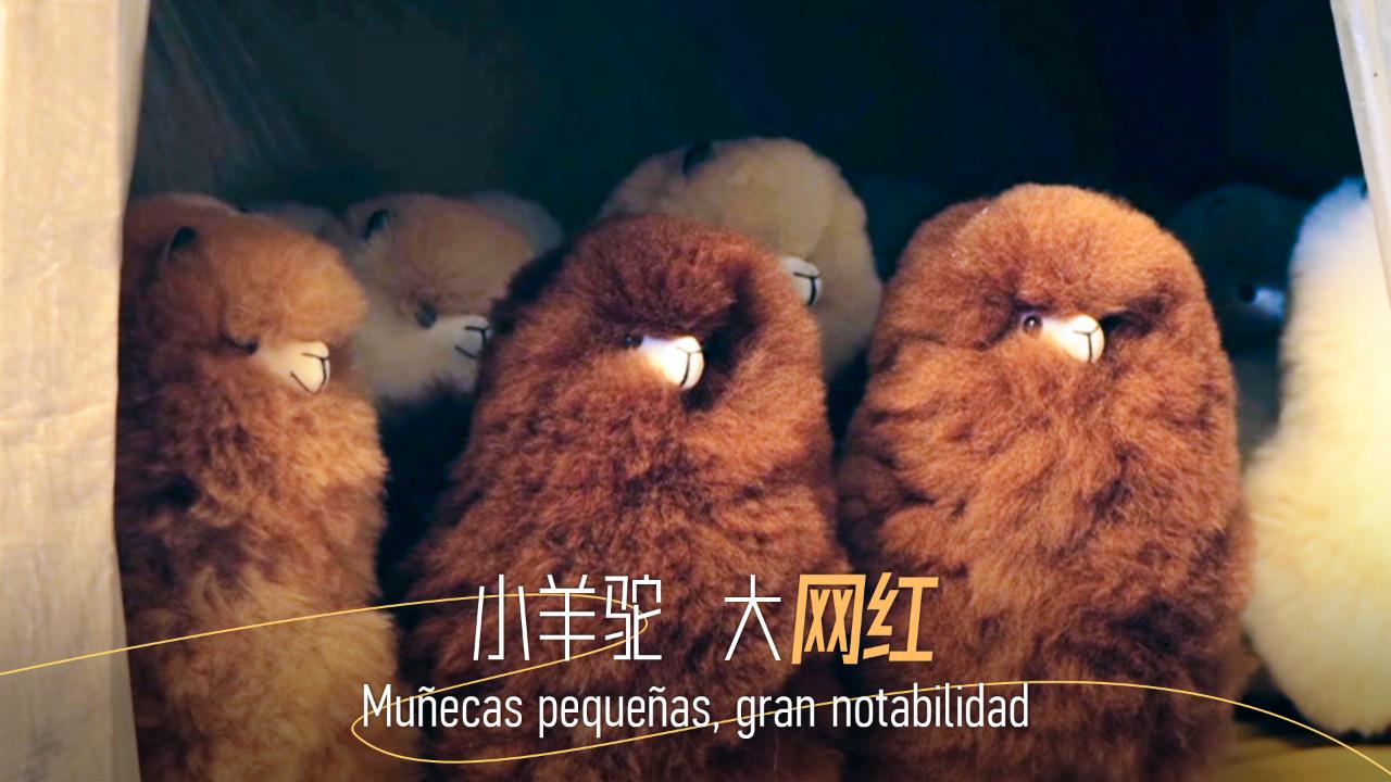 From the Great Wall to Machu Picchu: Little alpaca, big influence [Video]