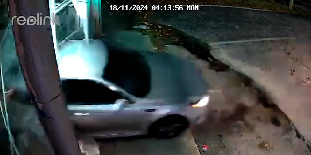 Burglars ram stolen car through Avondale Estates hemp shop [Video]