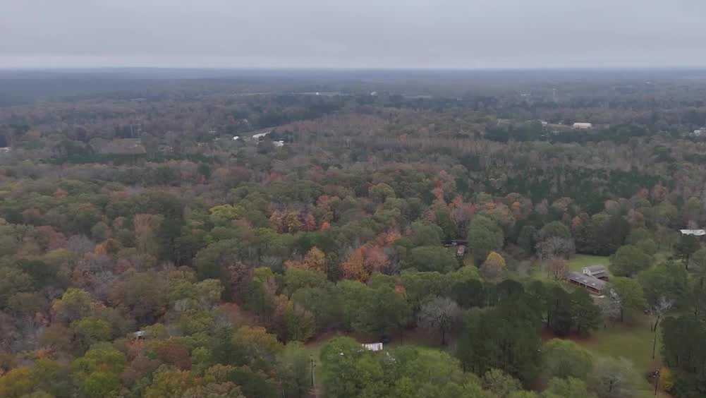 ‘I never thought I’d experience it’: Walker County residents describe feeling earthquake [Video]