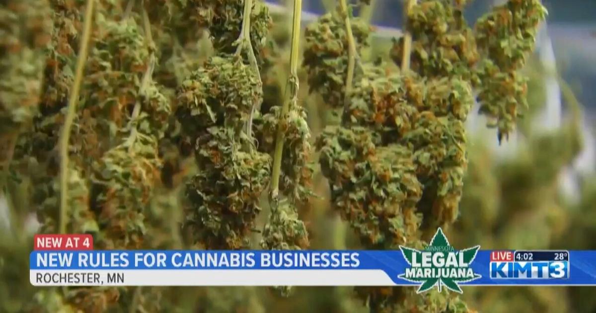 Olmsted County updates rules for cannabis businesses | News [Video]