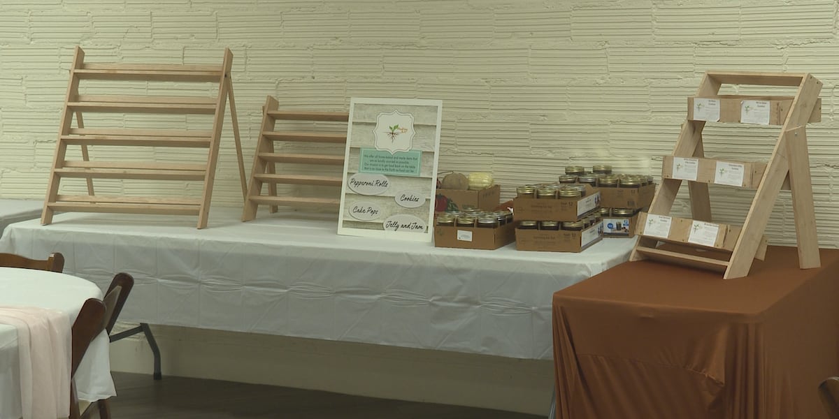 Small businesses to host Pink Friday in St. Marys [Video]