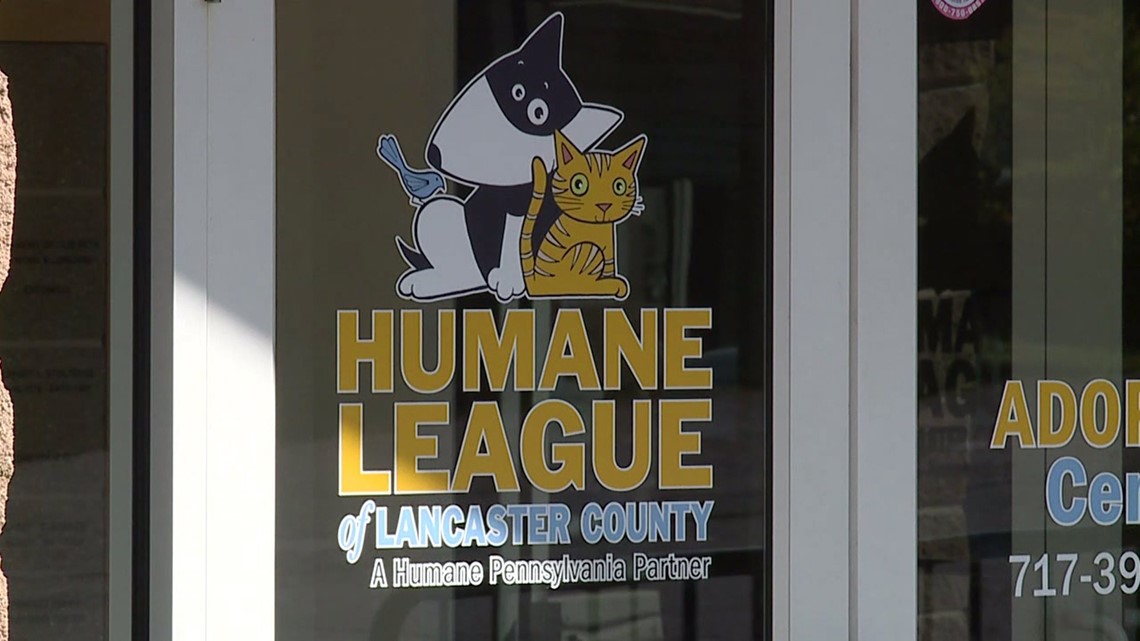 13th annual Lancaster County ExtraGive supports local nonprofits [Video]