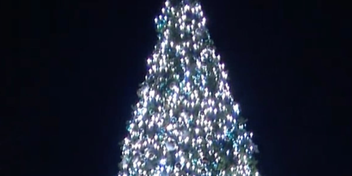 Mayors annual tree lighting ceremony starts the Christmas season in downtown Springfield [Video]