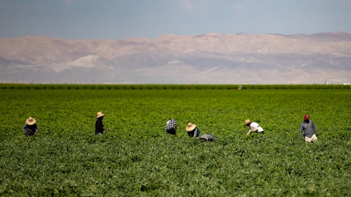 California could lose ‘billions’ under Trump’s deportation plan [Video]