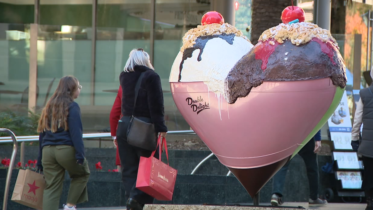 San Francisco braces for Black Friday crowds [Video]