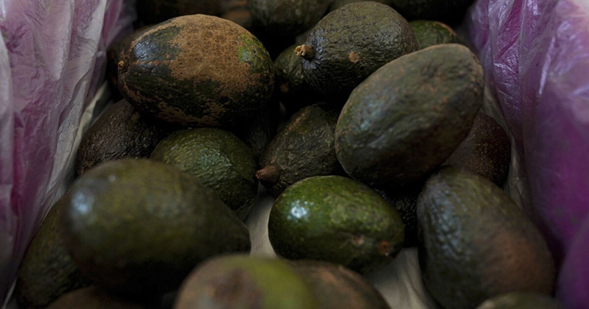 Avocados, tequila, other Mexican products jeopardized by Trump’s tariff threats [Video]