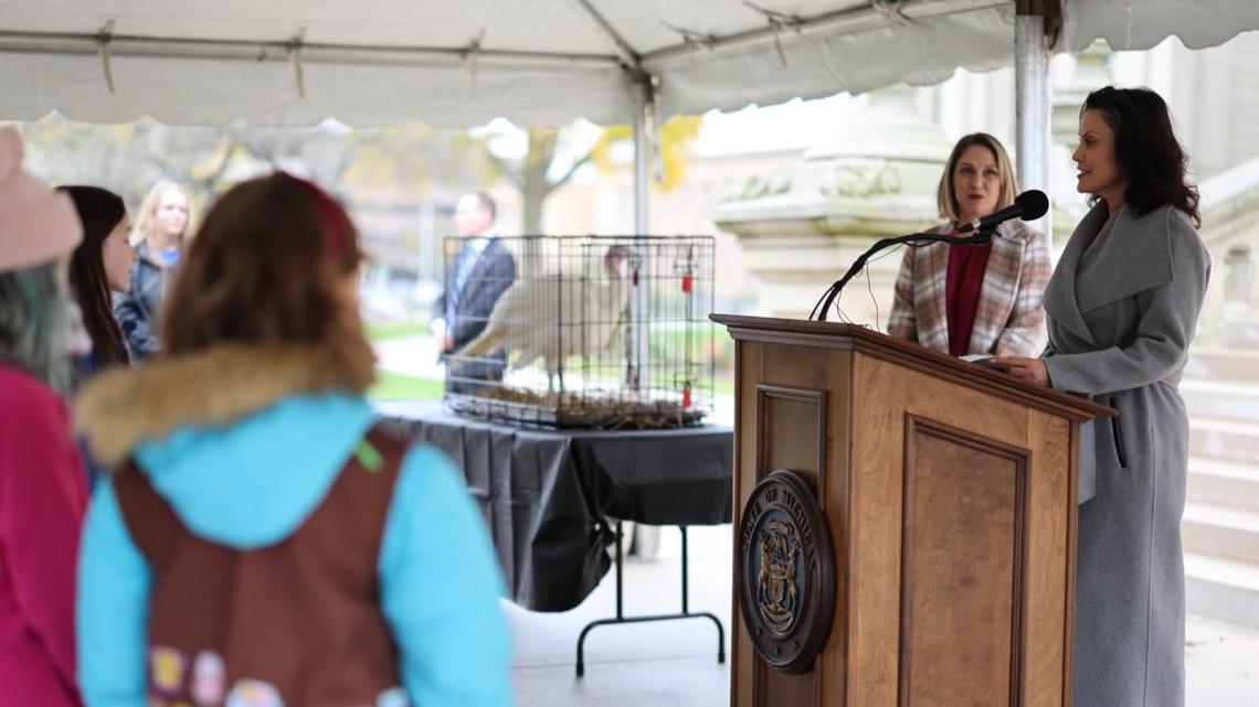 Origins of the annual turkey pardon, as MI joins in [Video]