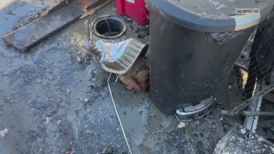 8 people displaced after fried turkey fire in Carmichael [Video]