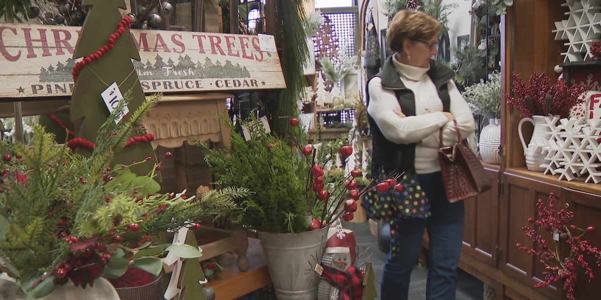 Small businesses enter vital season, holiday spending expectations high [Video]