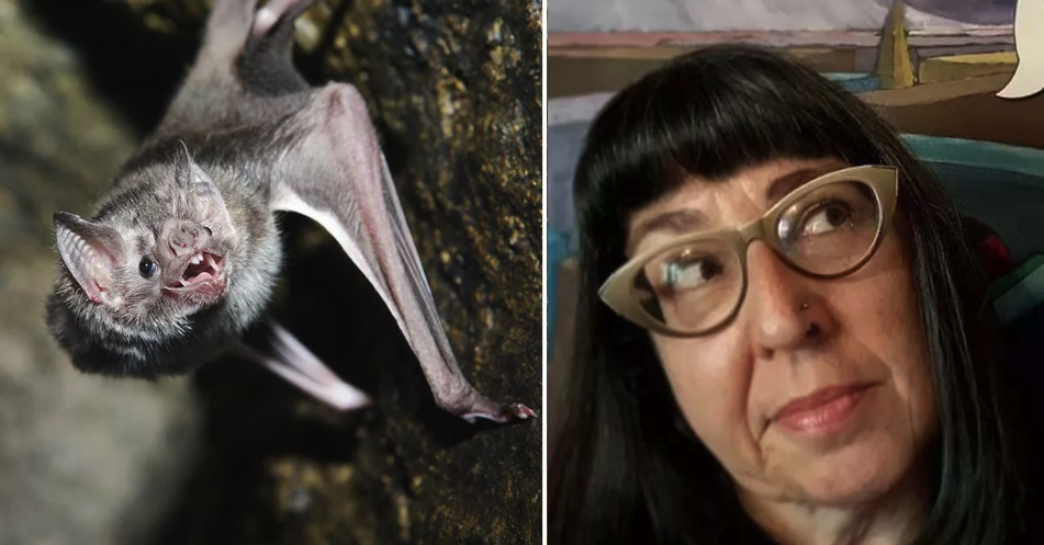 Southern California Art Teacher Dies After Being Bitten by Bat in Classroom [Video]