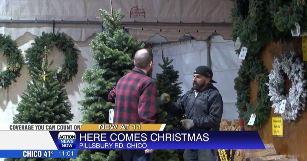 Thanksgiving impacts on local Christmas tree sales | News [Video]