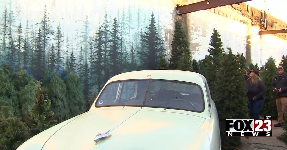 Route 66 Christmas Tree Farm opens attraction with upcycled Christmas trees | Holiday Fun 2024 [Video]