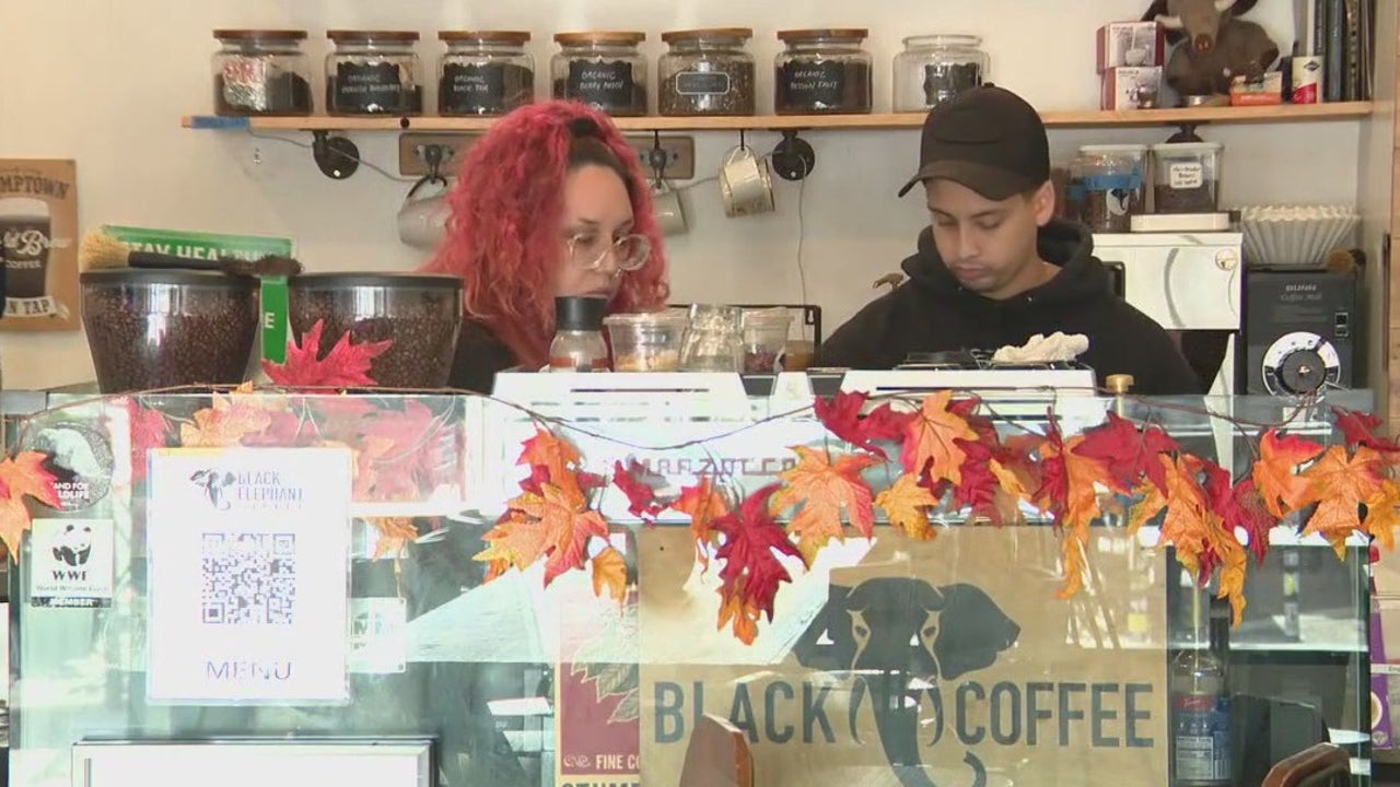 Small Business Saturday in Echo Park [Video]