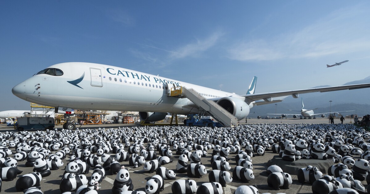 Hong Kong launches panda sculpture tour as city hopes bear craze boosts tourism [Video]