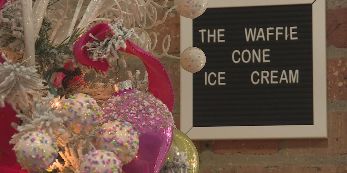 Lincoln businesses display holiday spirit for ‘Window Wonderland’ [Video]